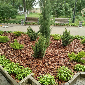 Хвойная мульча в Электростали купить - оперативная доставка по всей России